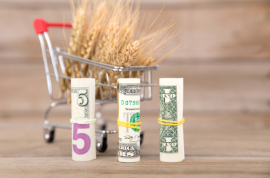 装满成熟麦穗的手推车模型和卷着的美元钞票