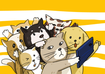 来张自拍吧，猫猫狗狗们的自嗨