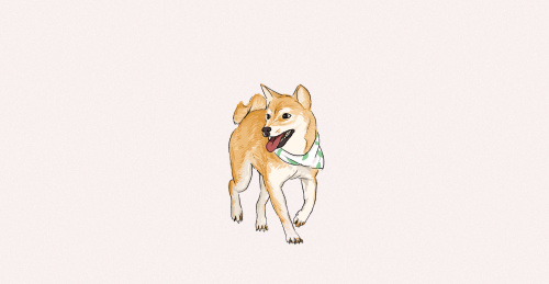 戴围巾的柴犬,狗,犬科动物