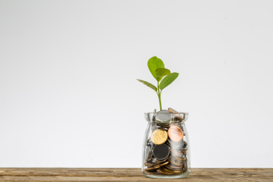 玻璃瓶中的硬币和绿树。 经济和金融增长。 美元，欧元。