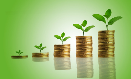 金色的硬币和绿色植物生长照片，储蓄或经济增长概念