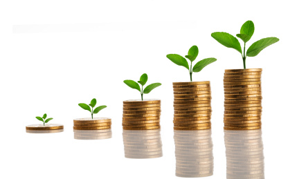 金色的硬币和绿色植物生长照片，储蓄或经济增长概念