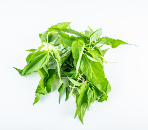 新鲜绿色蔬菜火麻叶在白背景上