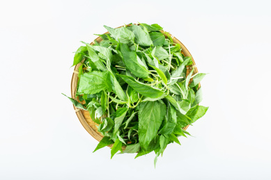 一竹筛子新鲜绿色蔬菜火麻叶在白背景上 