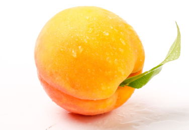 白底上的一个黄桃