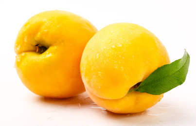 白底上的黄色水果黄桃