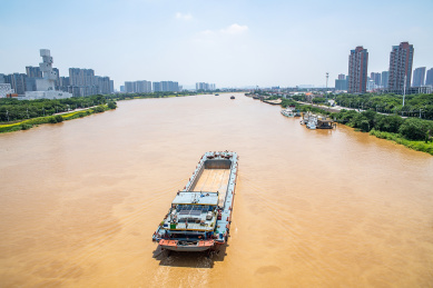 中国广东省佛山潭洲水道河面上航行的货运船舶 