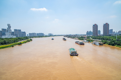中国广东省佛山潭洲水道河面上航行的货运船舶 