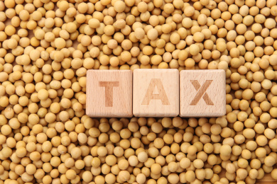 一堆大豆中间的TAX字母和农业税概念