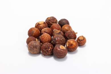 中国中草药植物药材无患子白底图