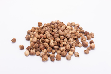 中国中草药植物药材白豆蔻白底图