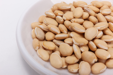 中国中草药植物药材白扁豆白底图