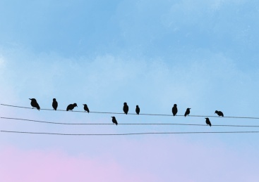 窗外的电线上面站着一群鸟儿