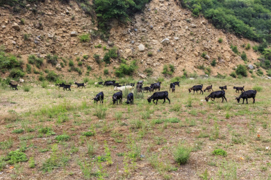 中国山西霍州陶唐峪自然风光