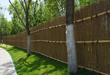 公园路边的原生态景观——竹篱笆墙