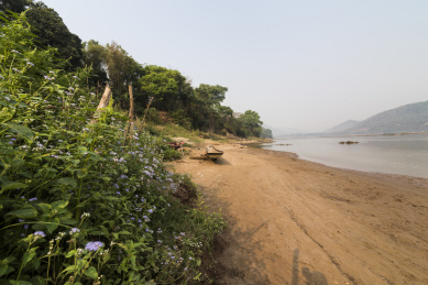 老挝琅勃拉邦湄公河岸的野花与沙滩上的小船