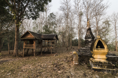 老挝琅勃拉邦乡村寺院后面树林中的佛塔和小木屋
