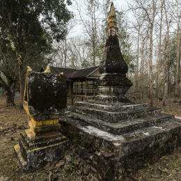 老挝琅勃拉邦乡村寺院后面树林中的佛塔