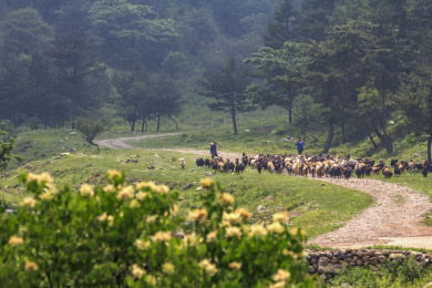 中国山西霍州七里峪自然风光