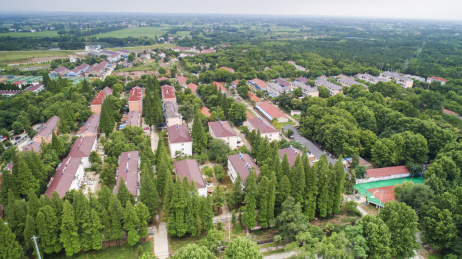航拍中国上海市白茅岭夏季雨后风光