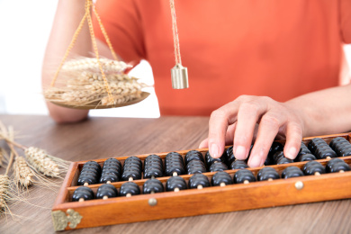 农业科学家正在使用秤和算珠估算当年新麦的产量