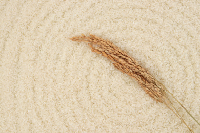 俯拍视角一把稻穗在一堆大米上