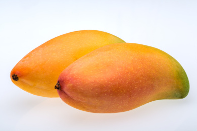 两个成熟的黄色象牙芒果在白色的背景上