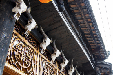 中国湖南湘西永顺县芙蓉古镇房屋门头悬挂的一排牛头标本