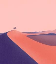 一颗坚强的树生长在沙漠里