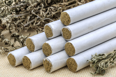 中药材艾灸条和原料干艾草