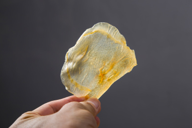 一片拿在手上的赤嘴鳘鱼胶