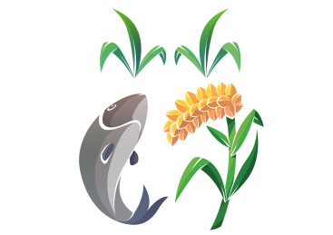 水草丰茂麦穗低垂鱼米之乡