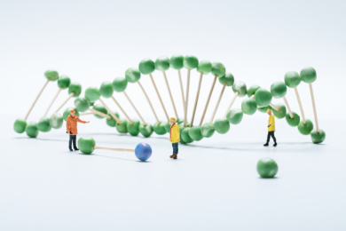 微缩摄影基因工程DNA双螺旋结构生物科技豌豆