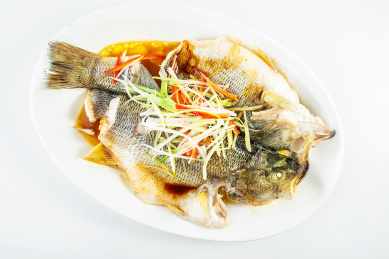 中国粤菜一碟清蒸鲈鱼在白背景上
