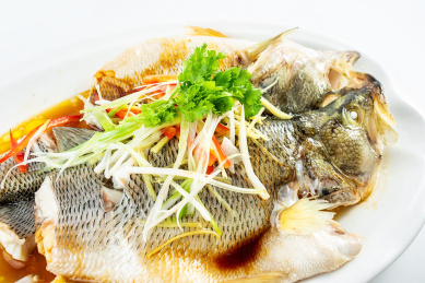 中国粤菜一碟清蒸鲈鱼在白背景上