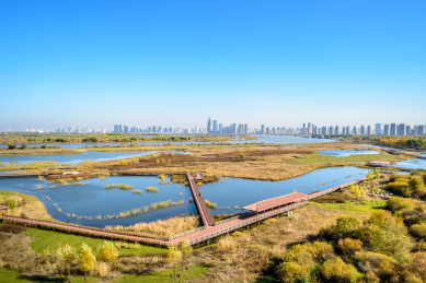 黑龙江省哈尔滨市松江湿地公园