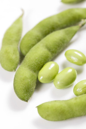 富含植物蛋白膳食纤维的毛豆