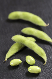 富含植物蛋白膳食纤维的毛豆