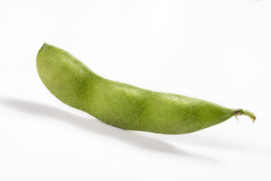 富含植物蛋白膳食纤维的毛豆