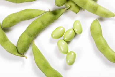 富含植物蛋白膳食纤维的毛豆