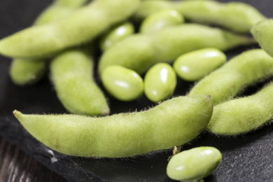 富含植物蛋白膳食纤维的毛豆