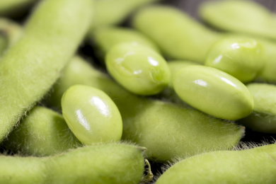 富含植物蛋白膳食纤维的毛豆