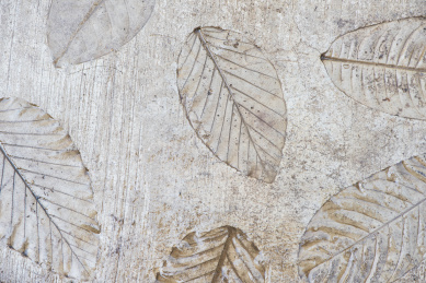 刻画有植物叶子的湿润灰色地面背景