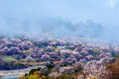中国西藏自治区林芝地区风貌