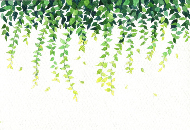 夏季一片绿荫垂落下来的吊兰，水彩手绘风格插画