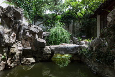 亚洲中国江苏省苏州市艺圃夏天风光。