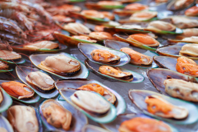紧密排列的美味烧烤食材——青口贝，即翡翠贻贝（Mussel）