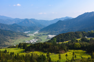 中国江西上饶婺源江岭油菜花山谷云雾