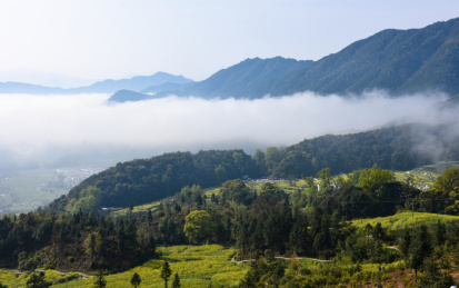 中国江西上饶婺源江岭油菜花山谷云雾