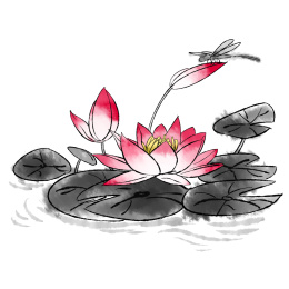 手绘中国风水墨风格睡莲莲花插画